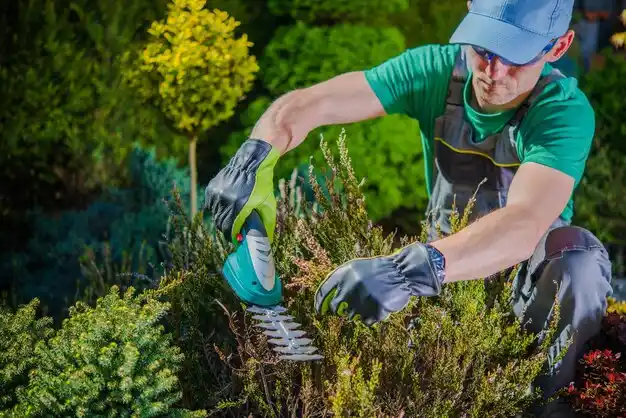 landscaping services Chauncey